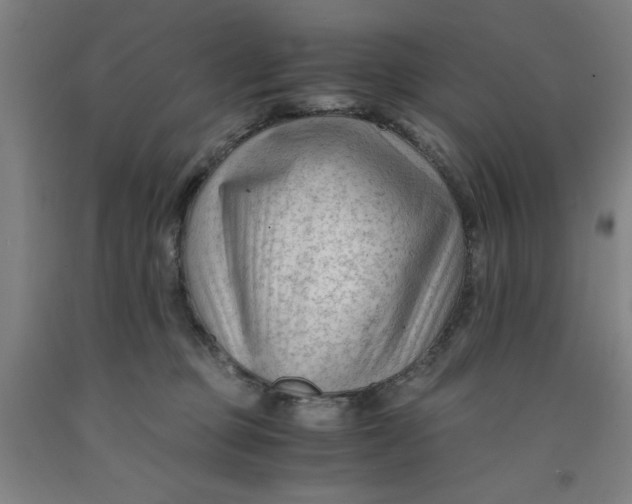 X0000091920373200709261647