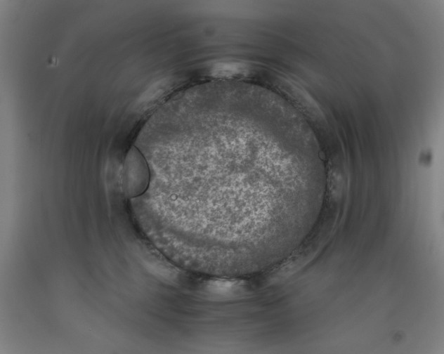 X0000091920375200709261647