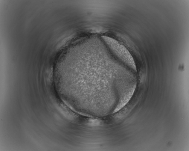 X0000091920376200709261647