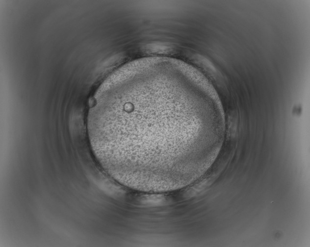 X0000091920377200709261647