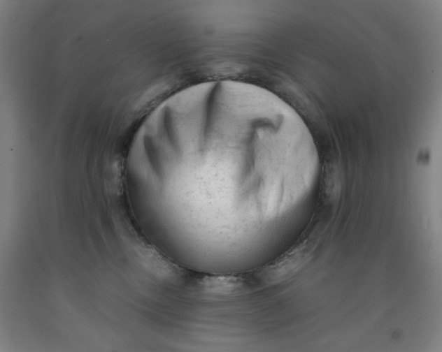 X0000091920378200709261647