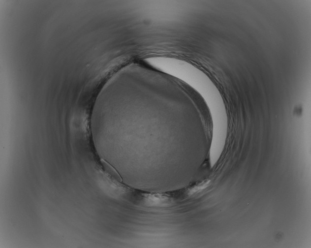 X0000091920380200709261648