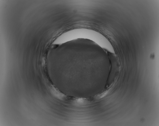 X0000091920382200709261648