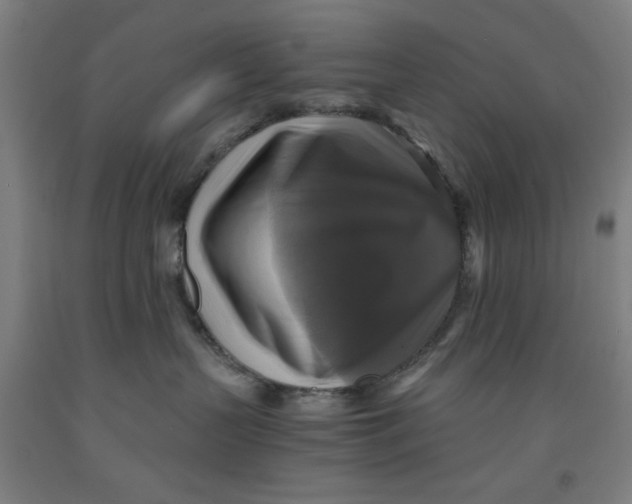 X0000091920383200709261648