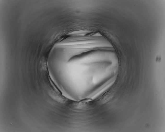 X0000091920384200709261648