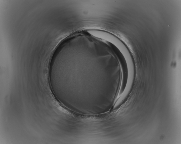 X0000091920385200709261647