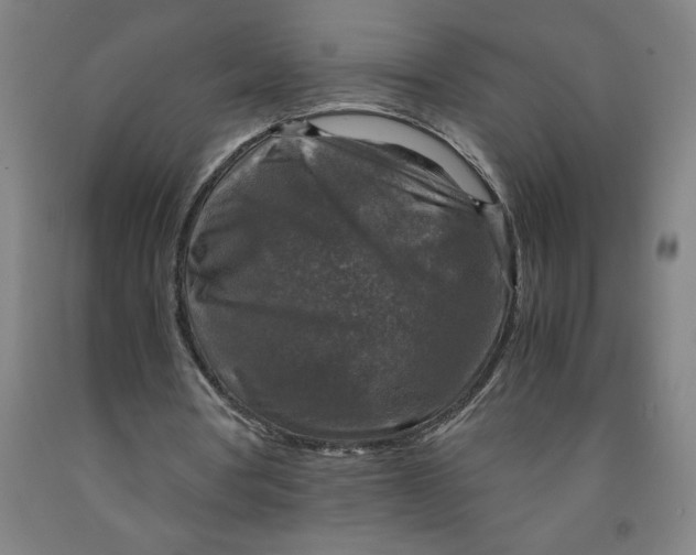 X0000091920386200709261647