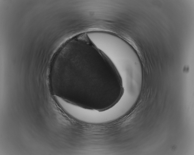 X0000091920387200709261647