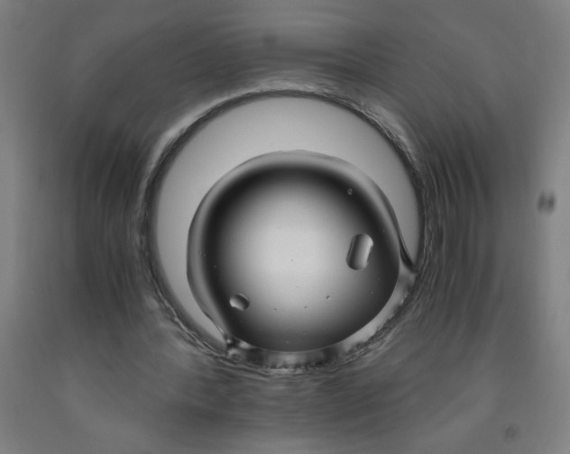 X0000091920388200709261647