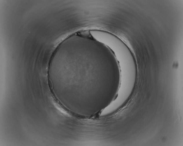 X0000091920389200709261647