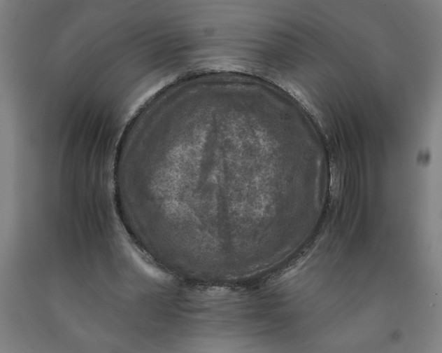 X0000091920390200709261647