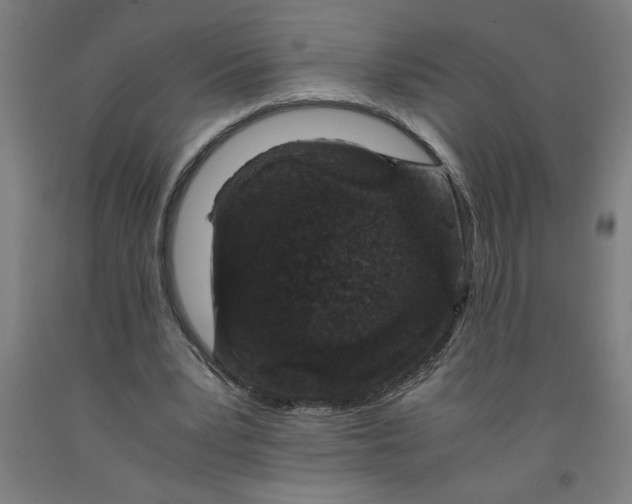 X0000091920391200709261647