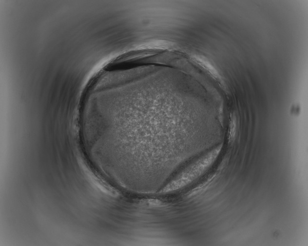 X0000091920392200709261647