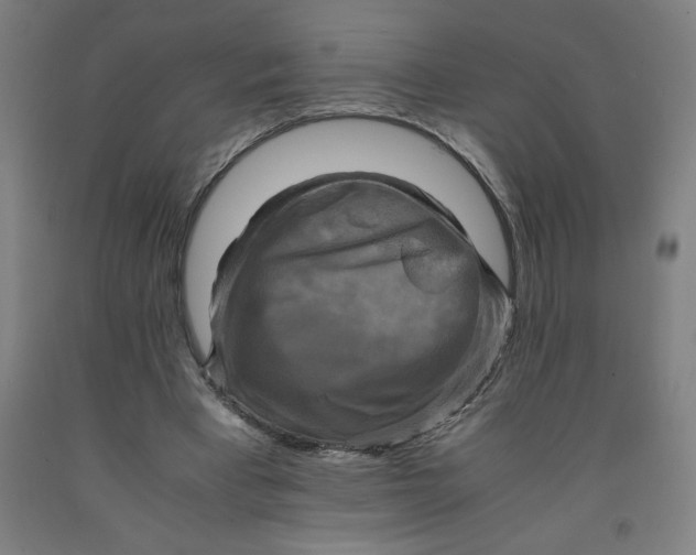 X0000091920393200709261647