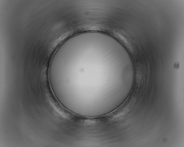 X0000091920394200709261647