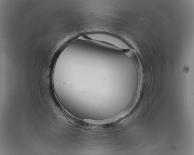 X0000091920395200709261647