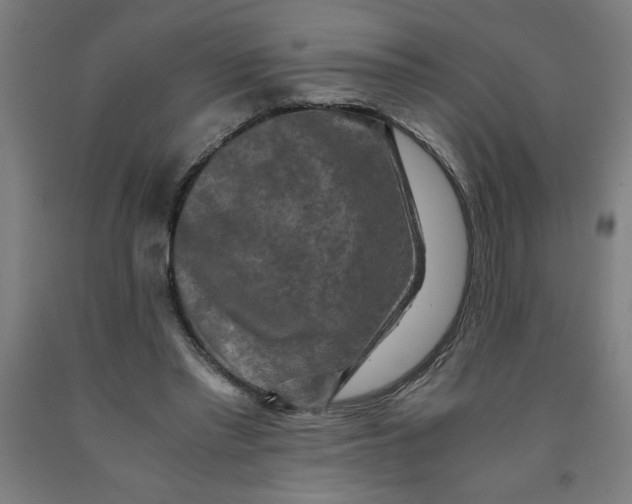 X0000091920397200709261647