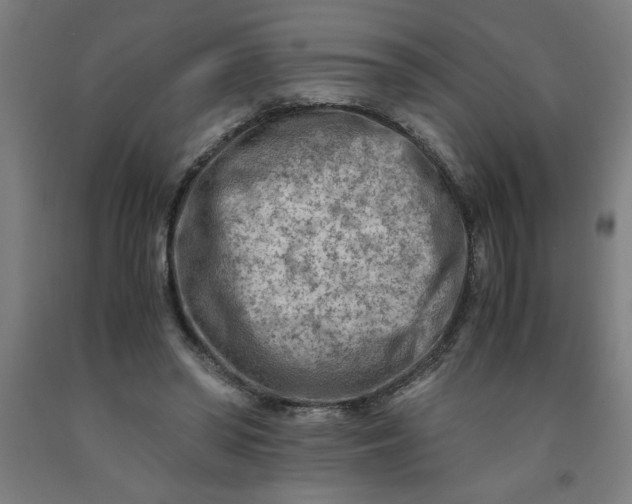 X0000091920398200709261647