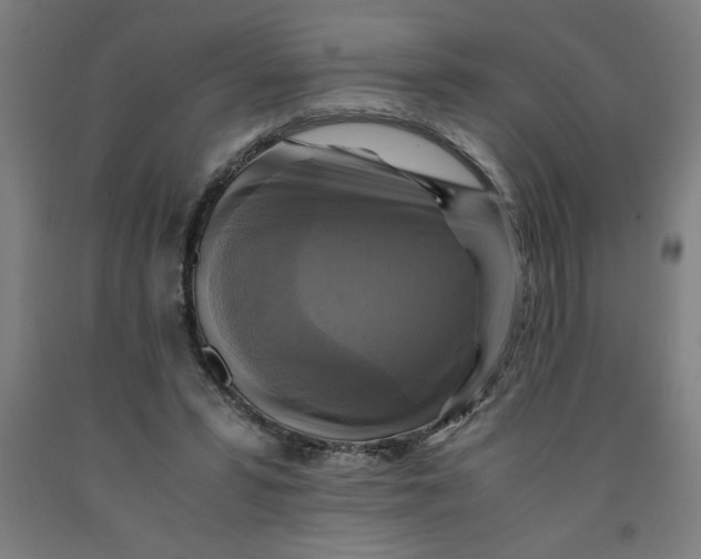 X0000091920399200709261647