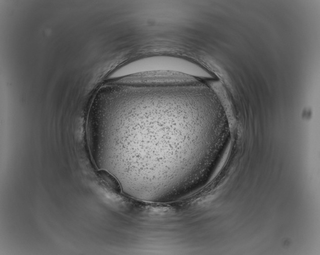 X0000091920401200709261647