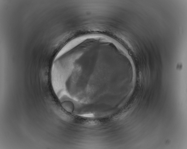 X0000091920402200709261647