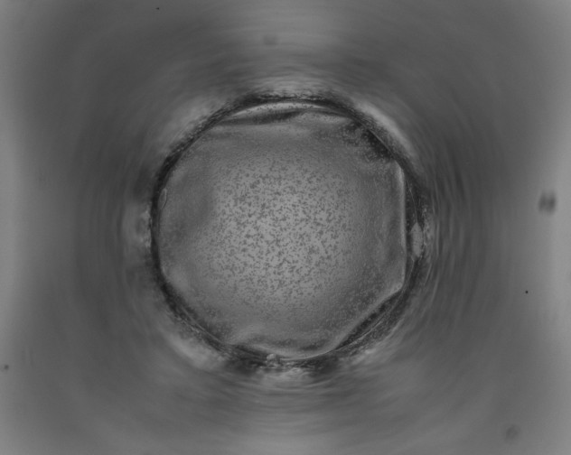 X0000091920403200709261647