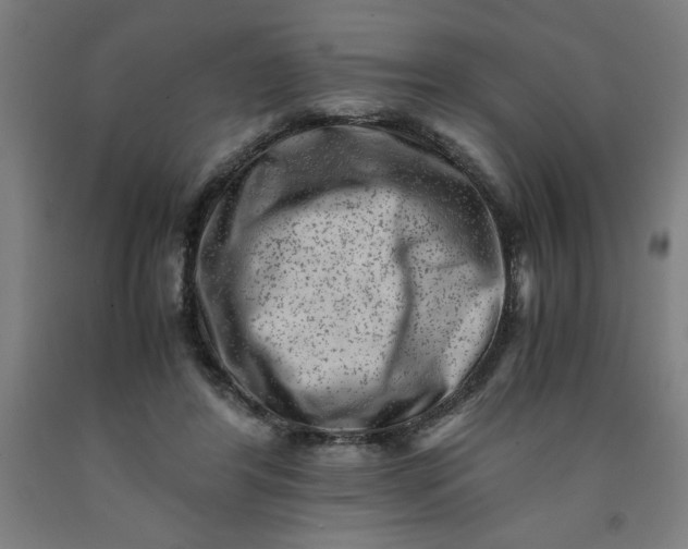 X0000091920404200709261647