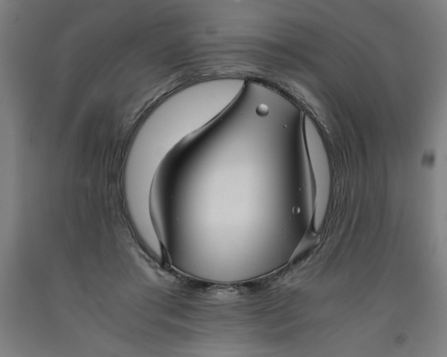 X0000091920405200709261647