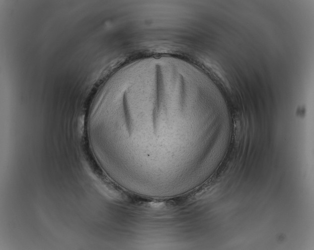 X0000091920406200709261647