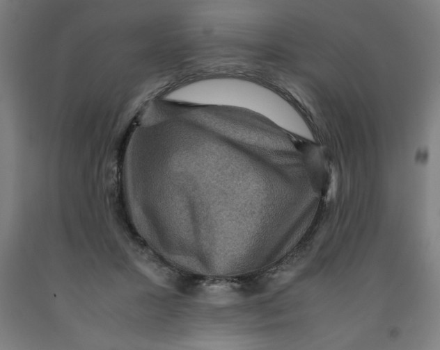 X0000091920407200709261647