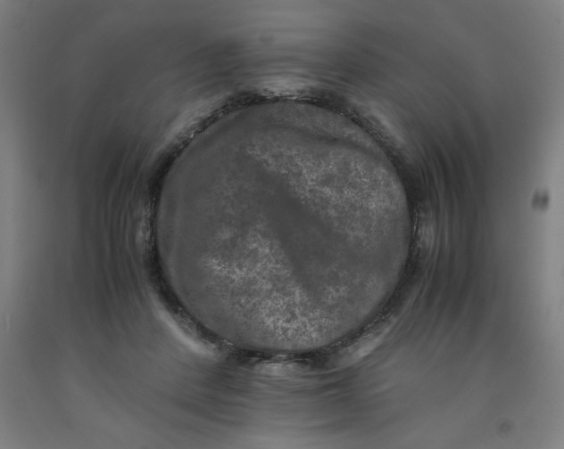 X0000091920408200709261646