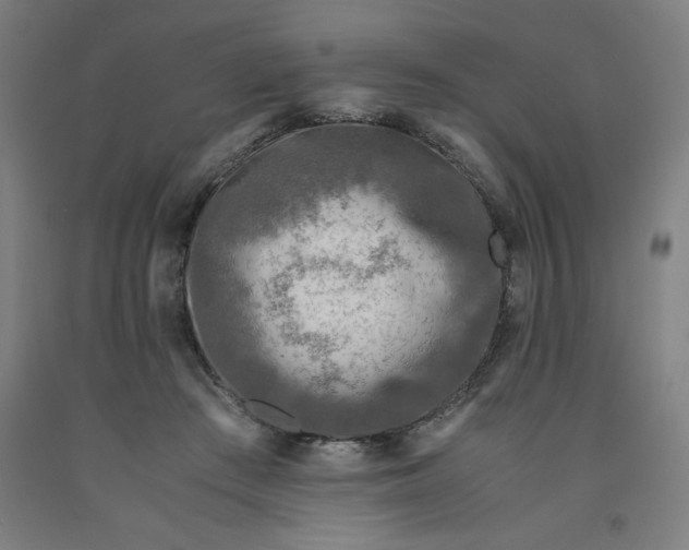 X0000091920409200709261646