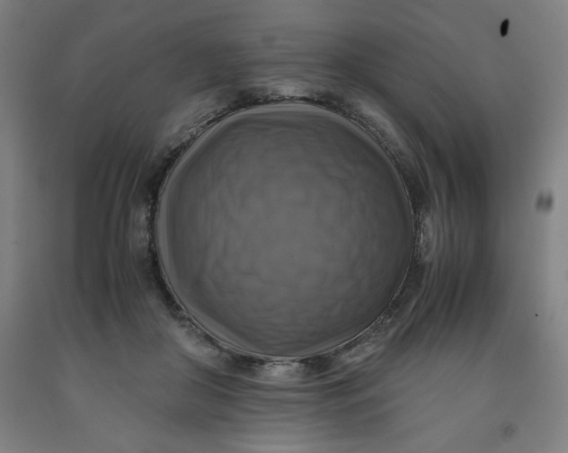 X0000091920410200709261646