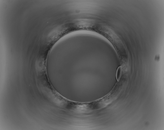 X0000091920411200709261646