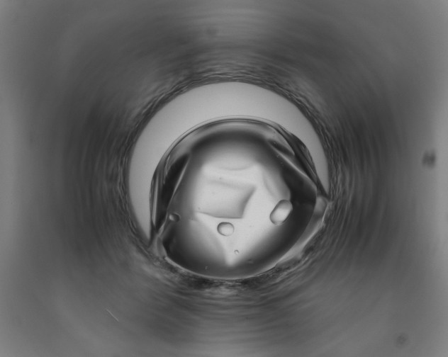 X0000091920412200709261646