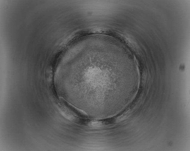 X0000091920413200709261646