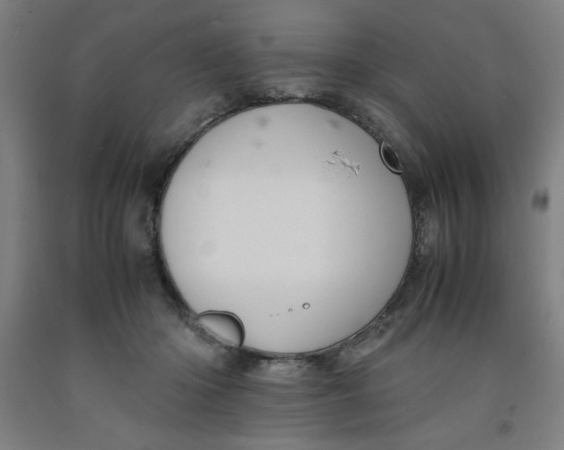 X0000091920414200709261646