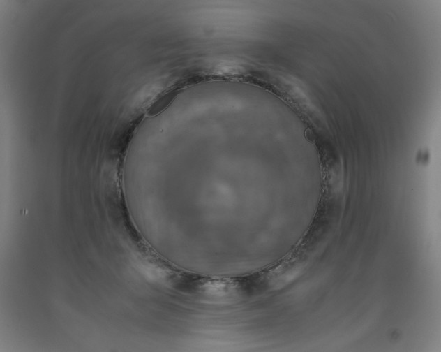 X0000091920415200709261646