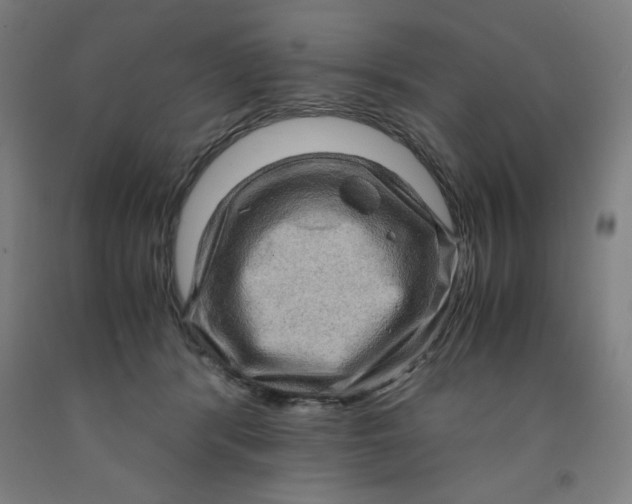 X0000091920416200709261646