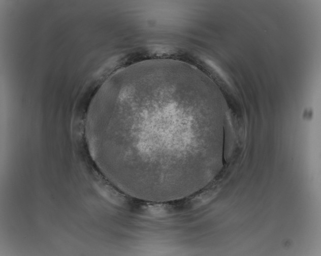 X0000091920417200709261646