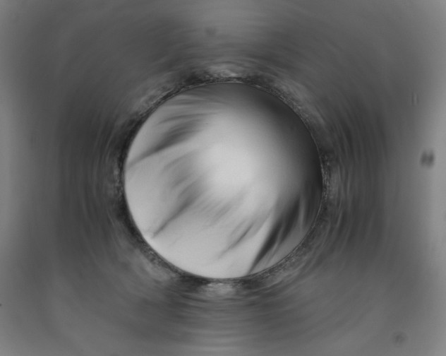 X0000091920418200709261646