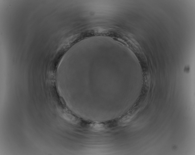 X0000091920419200709261646