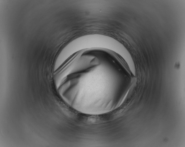 X0000091920420200709261646