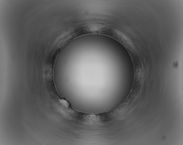 X0000091920421200709261646