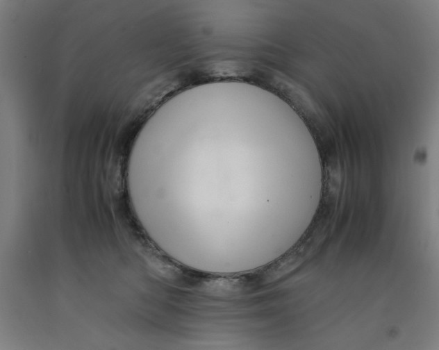 X0000091920422200709261646