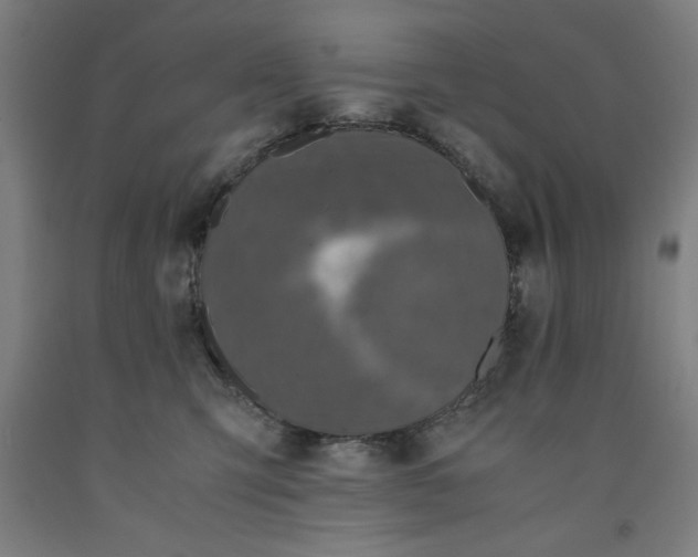 X0000091920423200709261646