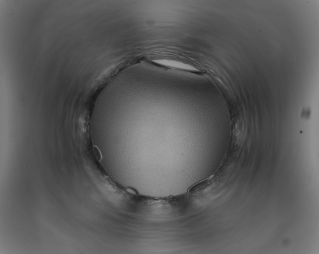 X0000091920424200709261646