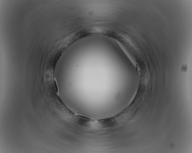 X0000091920425200709261646