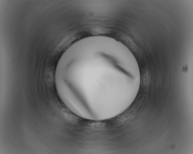 X0000091920426200709261646