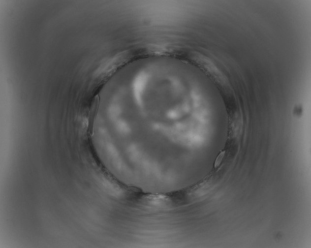 X0000091920427200709261646